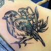 Traditional Robin Tattoo Image