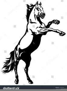 Free Clipart Of Mustang Horses Image