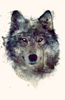 Wolf Face Watercolor Image