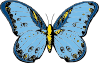 Butterfly Clip Art