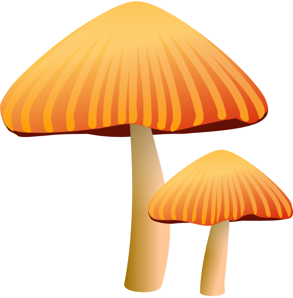 mushroom clipart free - photo #5