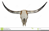 Texas Longhorn Skull Clipart Image