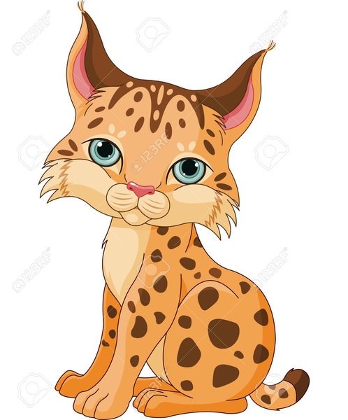 Baby Wildcat Cartoon Clipart | Free Images at Clker.com - vector clip