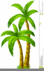 Clipart Palm Tree Image