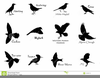Free Clipart Blackbirds Image