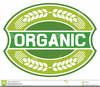 Organic Produce Clipart Image