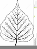 Outline Of Leaves Clipart Image