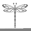 Dragonfly Clipart Graphics Image
