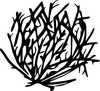 Clipart Tumbleweed Image