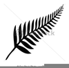 Silver Fern Clipart Image