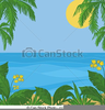 Clipart Sea Plants Image