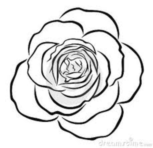 clipart rose outline - photo #23