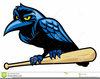 Raven Mascot Clipart Image
