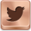 Twitter Bird Icon Image