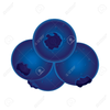 Blueberry Muffins Clipart Image