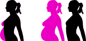 Pregnancy Silhouette 5 Clip Art