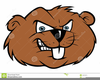 Beaver Cartoon Clipart Image