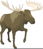 Bull Moose Clipart Image
