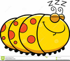 Cartoon Caterpillar Clipart Free Image