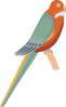 Parakeet Clip Art