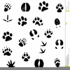 Lion Footprint Clipart Image