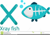 Clipart Fish Tropical Image