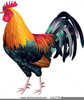 Free Clipart Images Of A Rooster Image