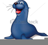 Seal Clipart Kids Image