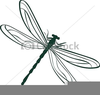 Dragonfly Clipart Vector Image