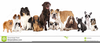 Free Clipart Puppies Image