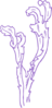 Purple Seaweed Clip Art