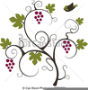 Clipart Raisin Vigne Image