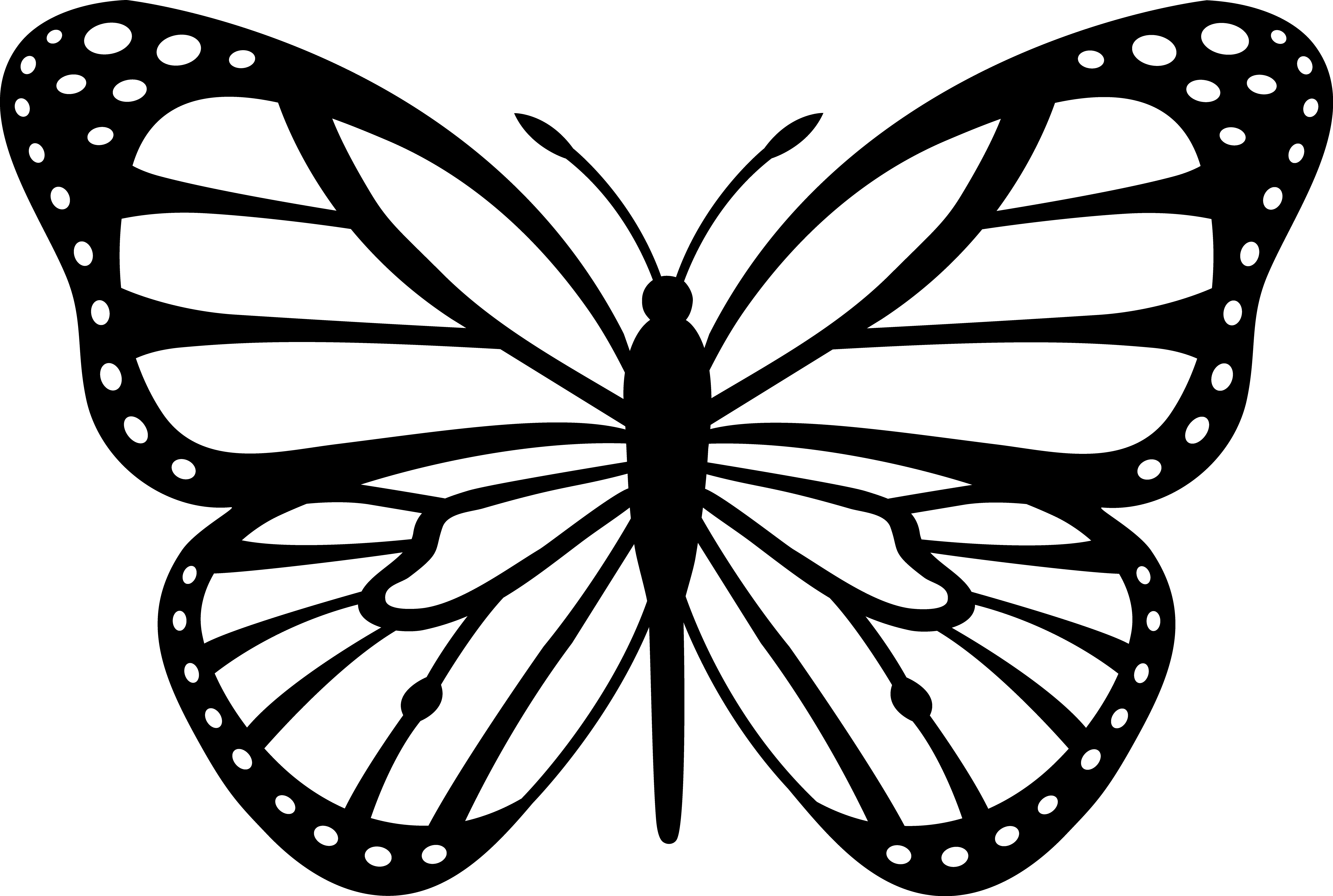 Monarch Butterfly Black White | Free Images at Clker.com - vector clip