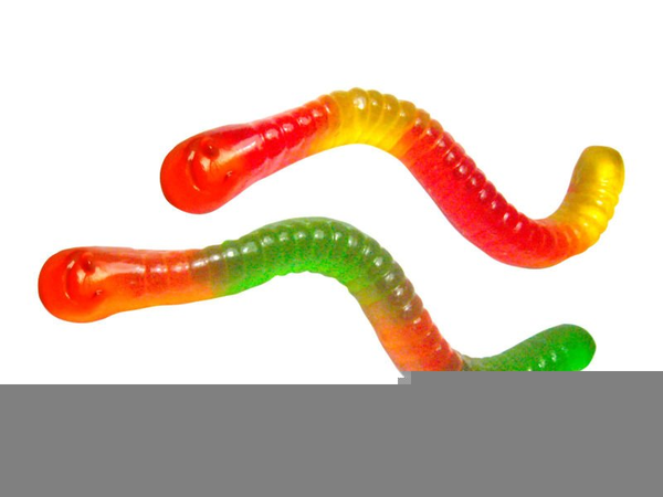 Gummy Worm Clip Art.