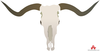 Bull Horns Clipart Free Image