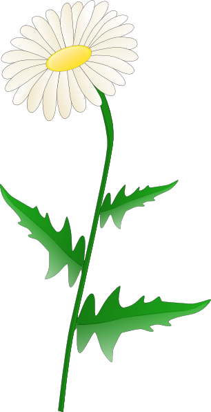 daisy clipart png - photo #1