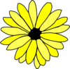 Yellow Daisy Clip Art