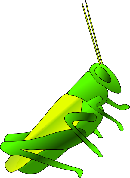 free clipart cricket insect - photo #3