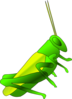 Cricket Clip Art