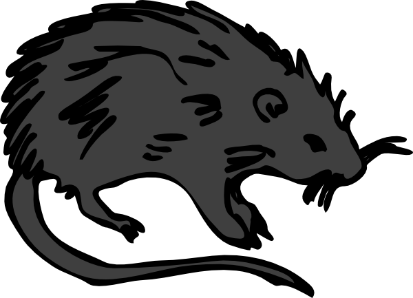 rat clipart black and white - photo #23