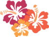 Hibiscus Clip Art