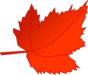 Fall Leaf Vector Collection 1 - Red - Maple Leaf PNG Images