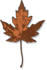 Brown Leaf Clip Art