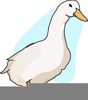 Free Clipart Ducks Image