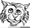 Wildcat Mascot And Clipart Image