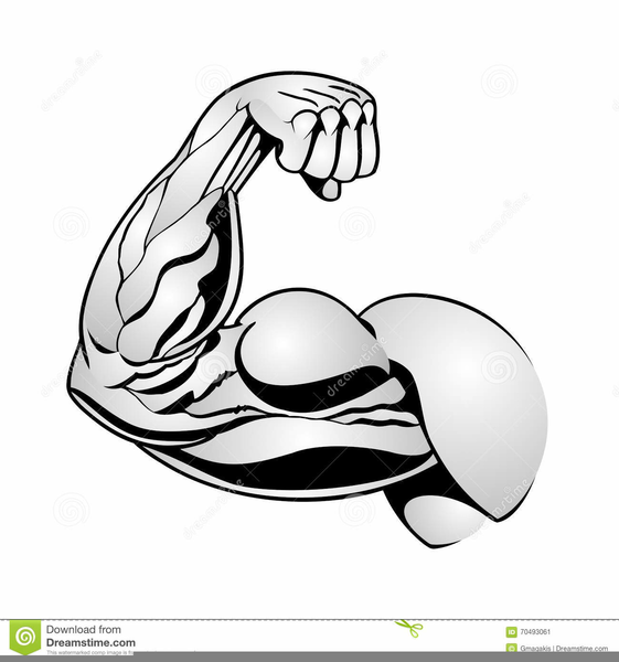 Arm Flexing Clipart Free Images At Clkercom Vector Clip Art Online.