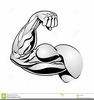 Arm Flexing Clipart Image