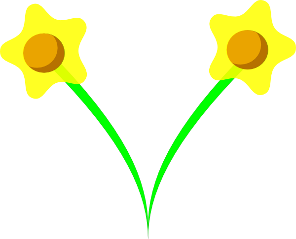 Simple Five Pettle Daffodil