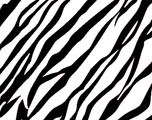 Zebra Print Background Free Images At Clker Com Vector Clip Art Online Royalty Free Public Domain