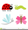 Small Ladybug Clipart Image